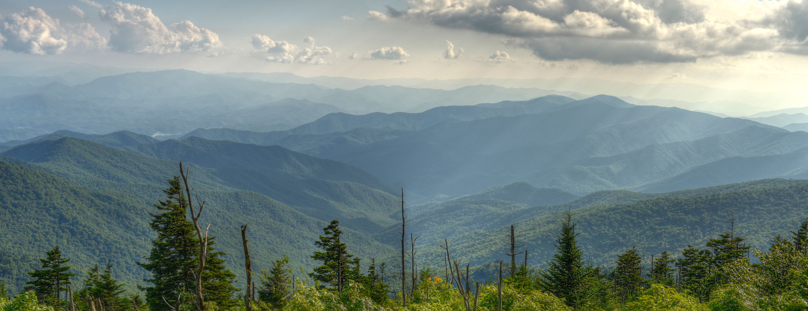 テストベンダー０１